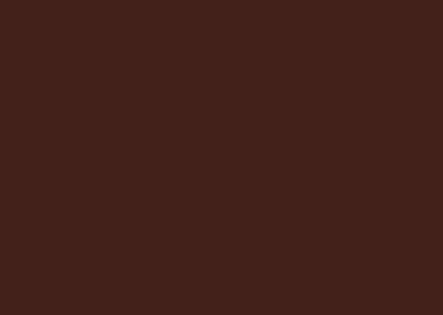 Chestnut-Brown-paint-sample-400x284