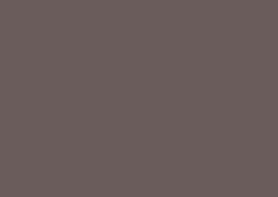 Earthtone-paint-sample-400x284