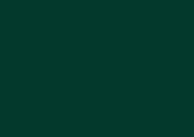Evergreen-paint-sample-400x284