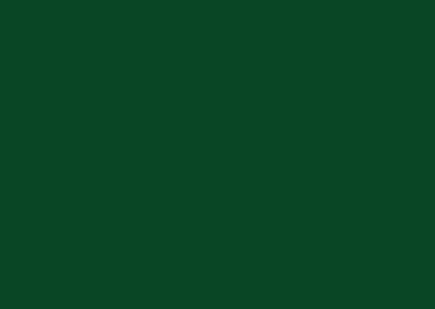 Forest-Green-paint-sample-400x284
