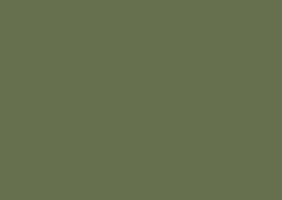 Olive-Green-paint-sample-400x284